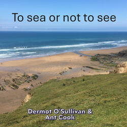To sea or not to see (feat. Ant Cook)