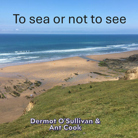 To sea or not to see (feat. Ant Cook)