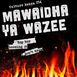 Top boy (feat. Collotello)