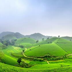 Whispering Hills