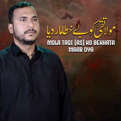 Mola Taqi Ko Be Khata Mar Diya | 29 Zilqad Noha Shahadat Imam Taqi