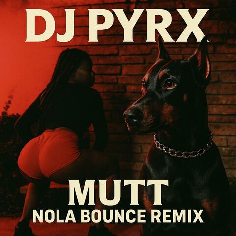 Mutt Nola Bounce