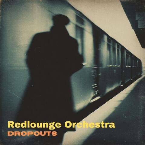 Dropouts