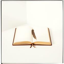 일기 (Dear Diary)