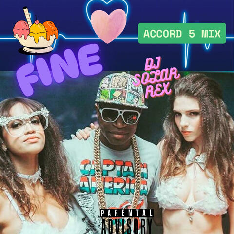 FINE Accord 5 mix