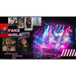 Fake Girls (feat. Rell2x, Debo, Slim Villian & Manny Da Matrix)