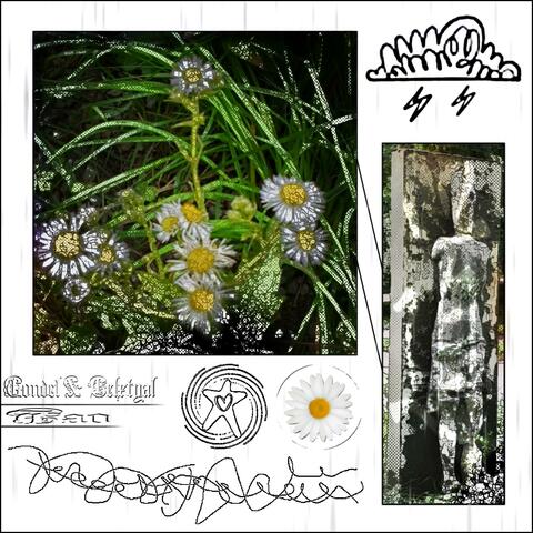 Tao (feat. Gondel) [Instrumental]