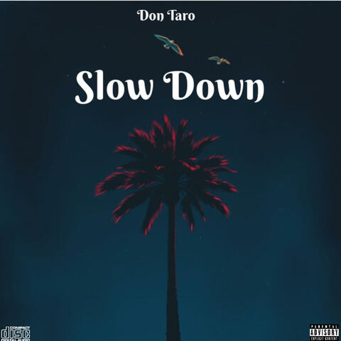 Slow Down