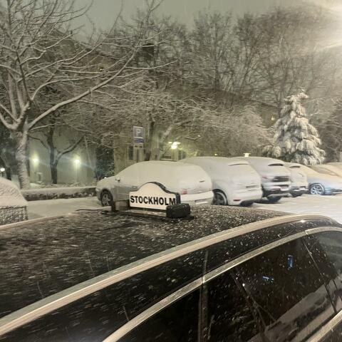 Coldest Nights