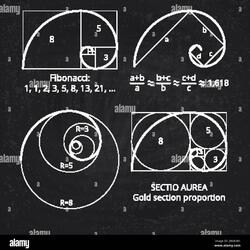 Consciousness Connected