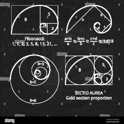 Consciousness Connected