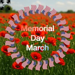 Salute To The Fallen