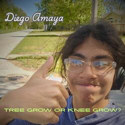 Would You Rather Watch a Tree Grow or a Knee Grow?