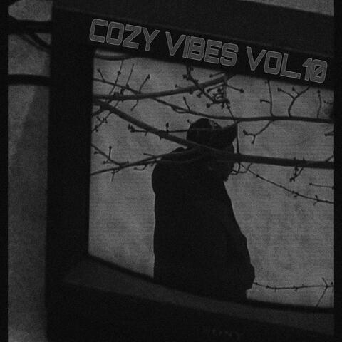 COZY VIBES, Vol. 10