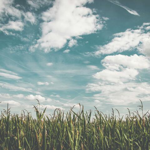 in the atmosphere