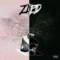 زيد