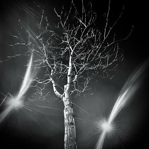 Let Your Light Shine Down