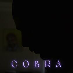 COBRA