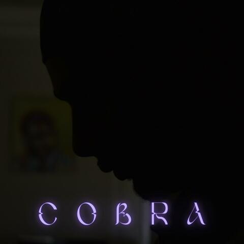 COBRA