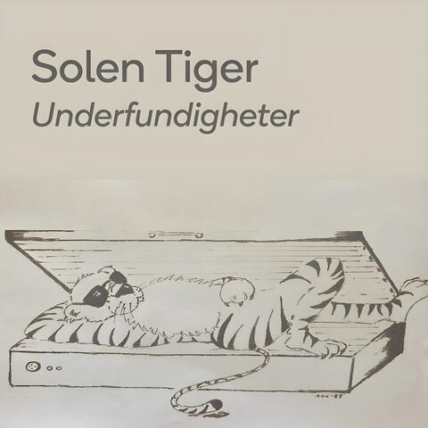 Underfundigheter