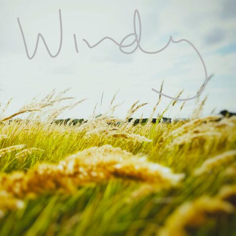 windy