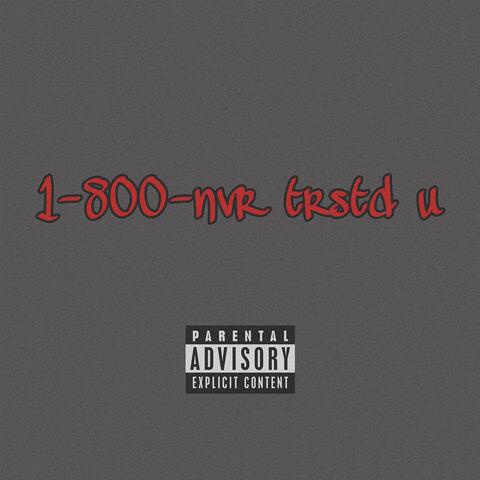 1-800-NVR TRSTD U
