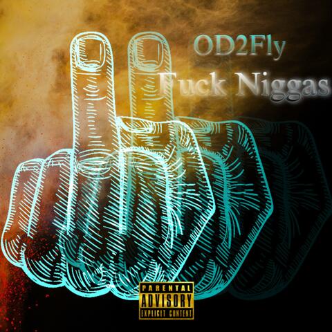 Fuck Nigga (feat. Beenhavviinn)