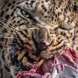 Handle It