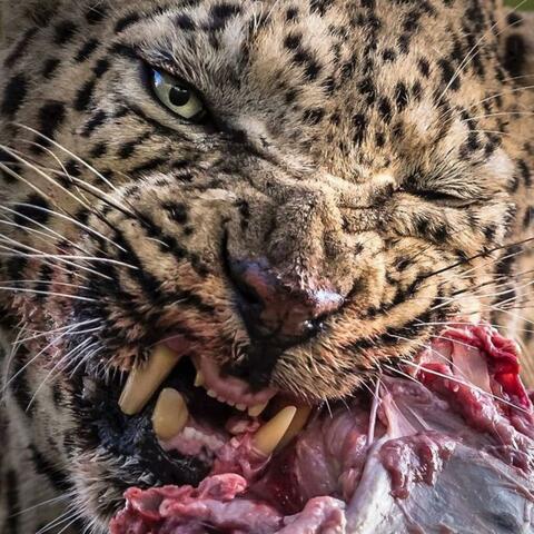 Handle It