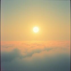 Look Up To The Light