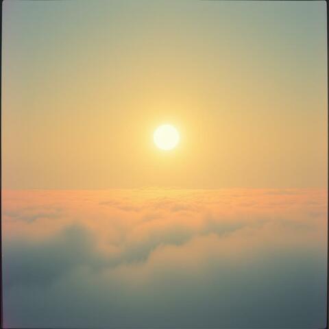 Look Up To The Light