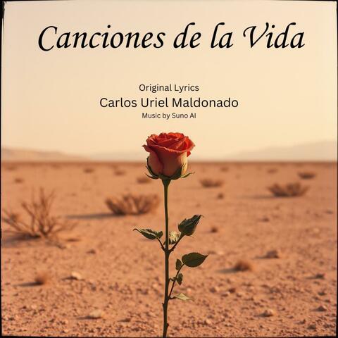Canciones de la Vida (Norteño)