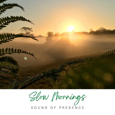 Slow Mornings 528 Hz