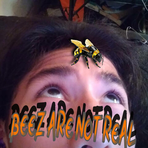 BEEZ ARE NOT REAL (feat. JASON JUPAT)
