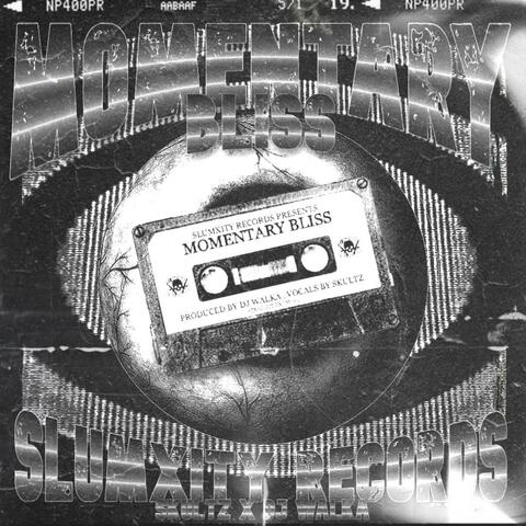 MOMENTARY BLISS (feat. DJ WALKA)