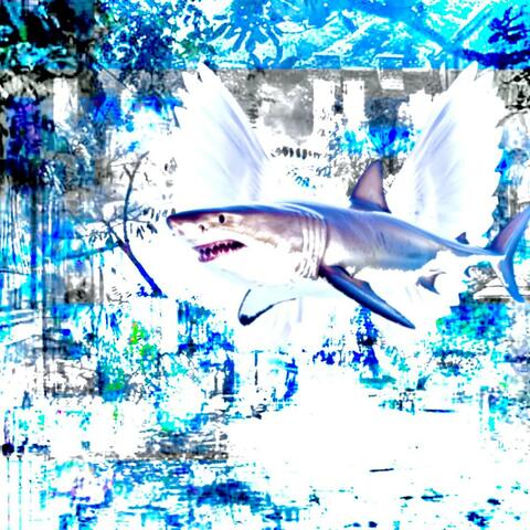 leave me in the dark (feat. etai s0)