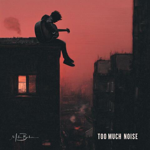 Too Much Noise