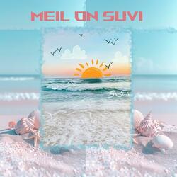 Meil on suvi