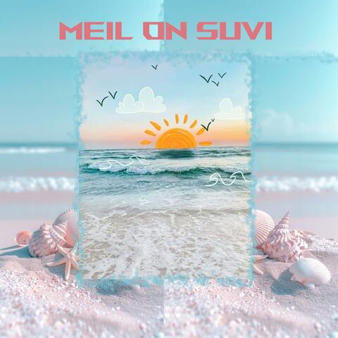 Meil on suvi