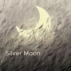 Silver Moon (Relax Saxophone Mix)
