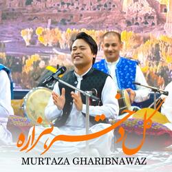 Gul Dukhtar Hazara (Murtaza Gharibnawaz) مرتضی غریبنواز