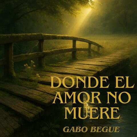 Donde el amor no muere