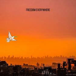 Freedom Everywhere