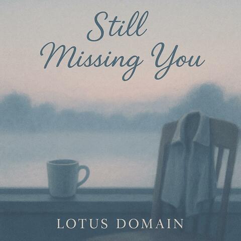 Still Missing You