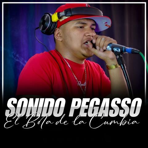 SESION LIVE SONIDO PEGASSO (Live)