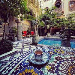 ظنيت الكاس ينسيني | اغاني مغربية مطلوبه اكثر شي