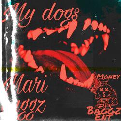 My Dogs