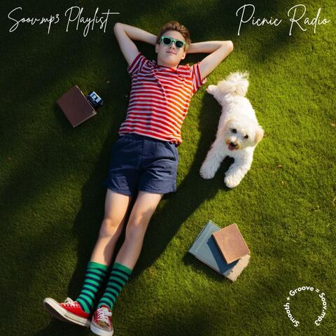 Picnic Radio