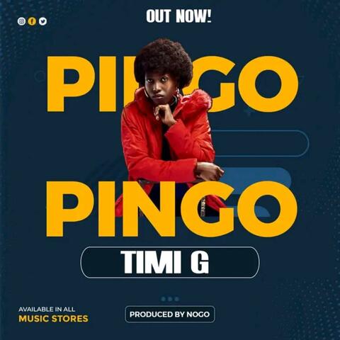 Pingo