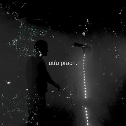utřu prach.